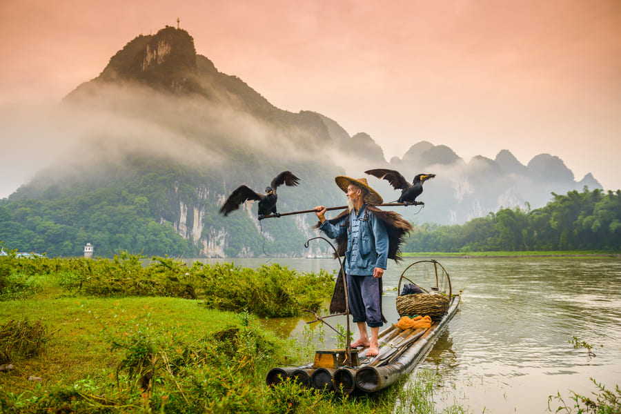 Hombre en lago pescando con aves en yangshuo